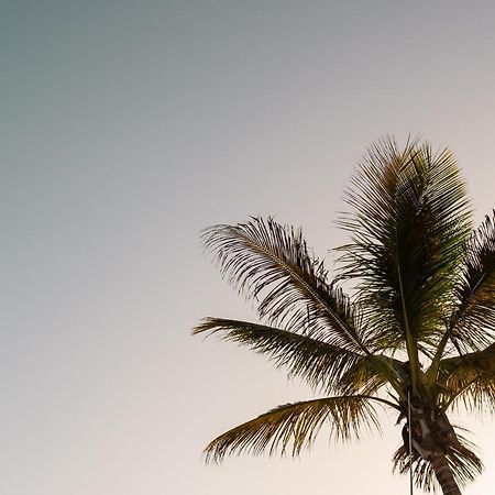 Moderno Piso En Las Palmas De Gran Canaria Dış mekan fotoğraf